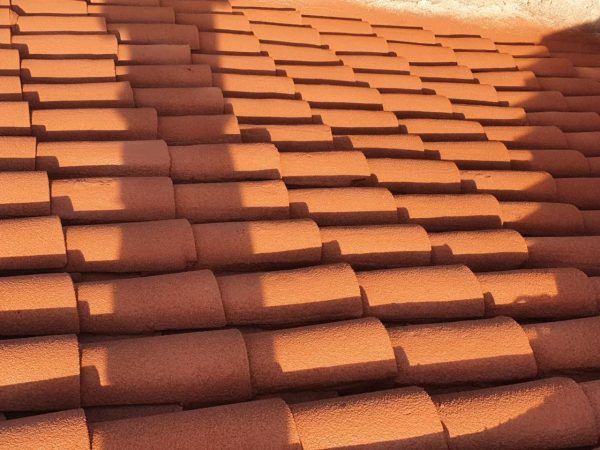 WhatsApp Image 2026-01-11 at 10.47.44 PM